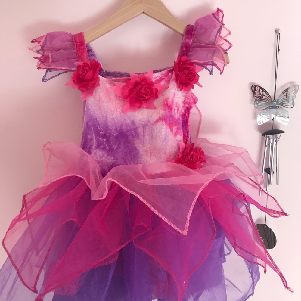 Like New Princess dress up!